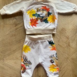 ORGANIC 3 Month NEUTRAL MOLO Chipmunk sweatshirt/pant set Really good condition
